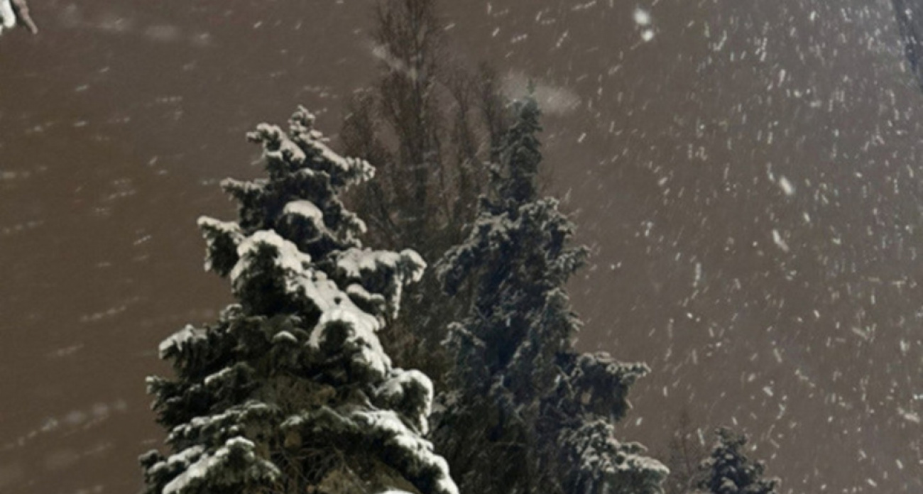 Метель с порывами до 14 м/с и гололедица обрушатся на Саратовскую область 11 января