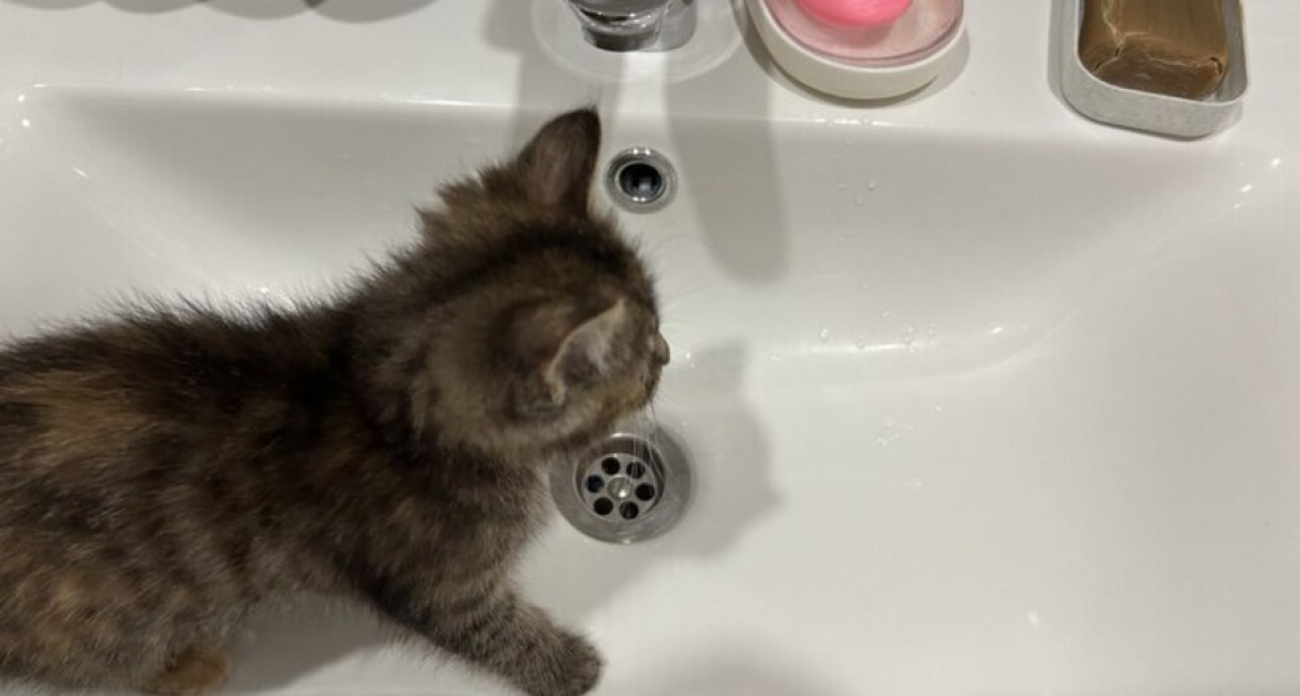 Массовые отключения воды в Саратове: тысячи жителей остались без ресурса до полуночи