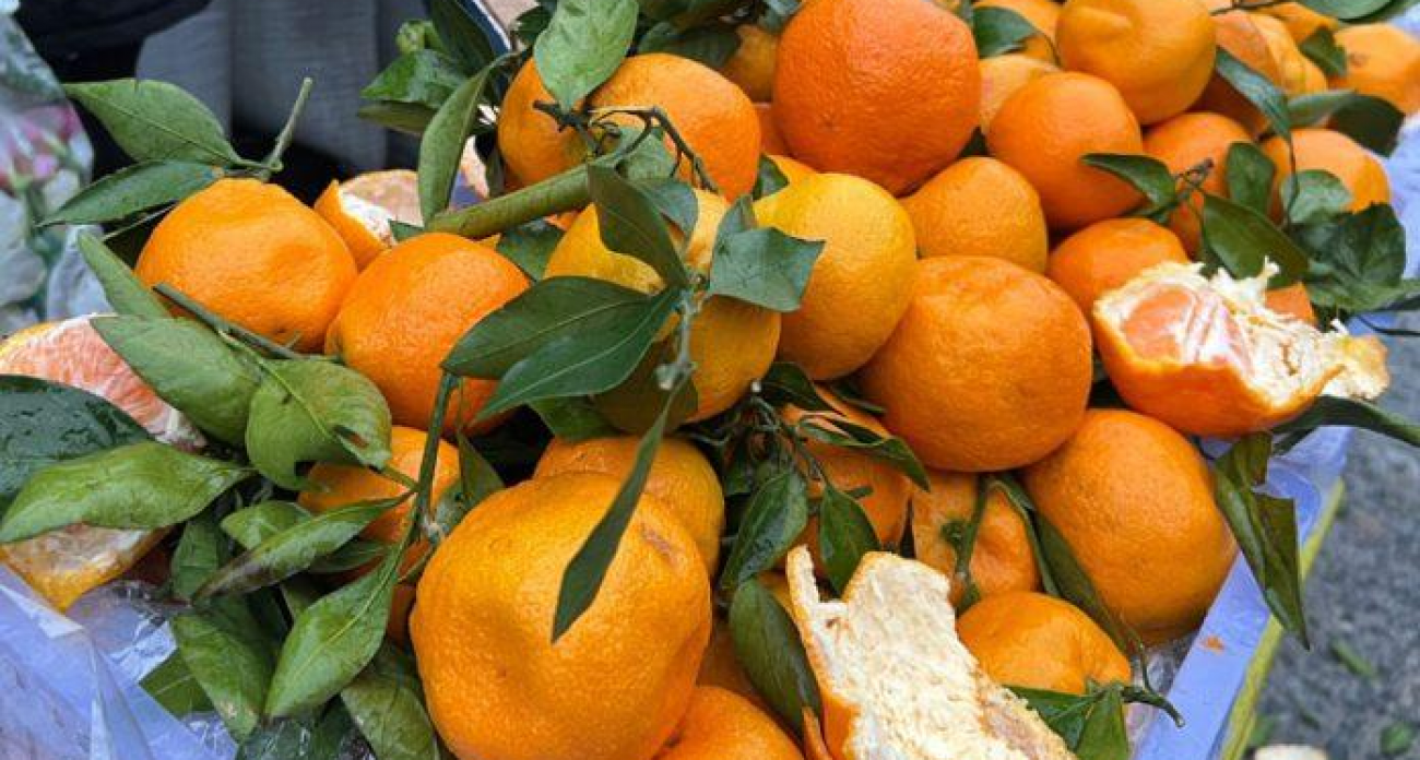 Предновогодняя ярмарка в Саранске: 20 декабря во всех районах с 07:00