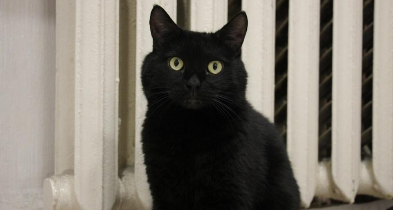 ТЭЦ-5 восстановлена за часы: в домах поддержали норму температуры