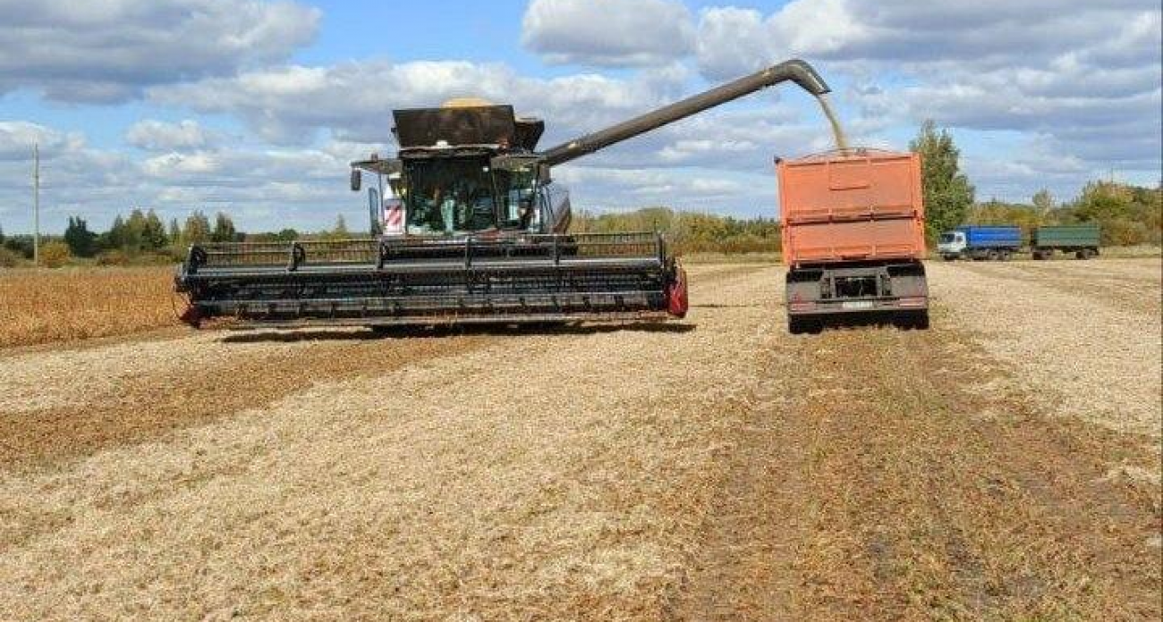 3 тысячи жалоб в год: саратовцы активно защищают трудовые права