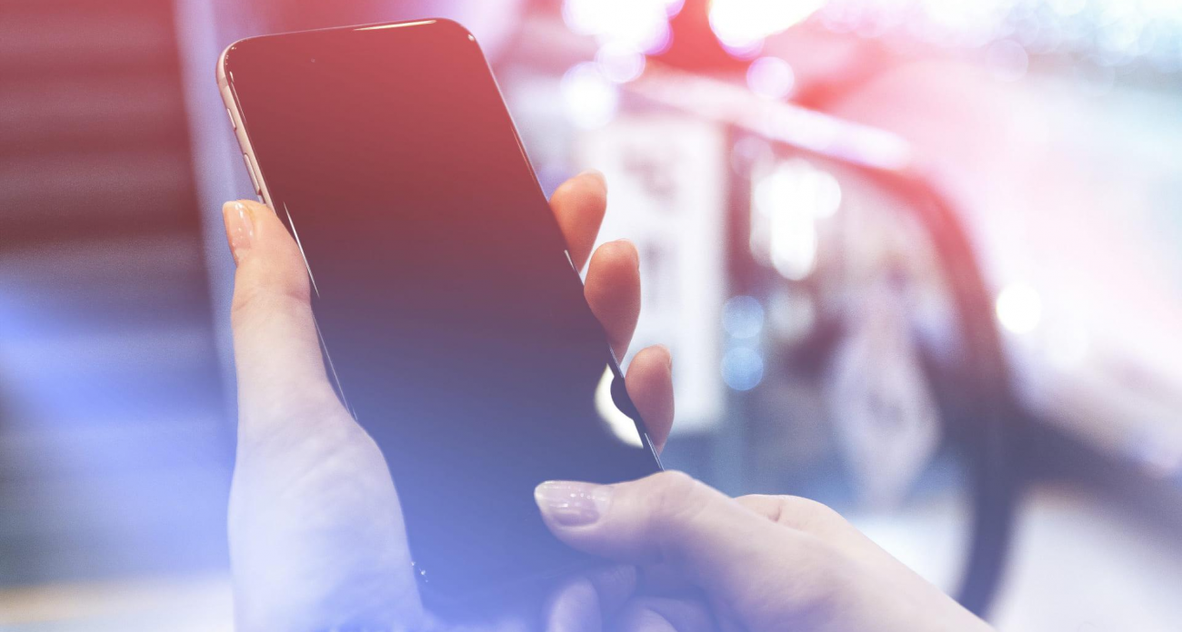 Саратовская область запустила горячую линию по мусорному коллапсу перед Новым годом