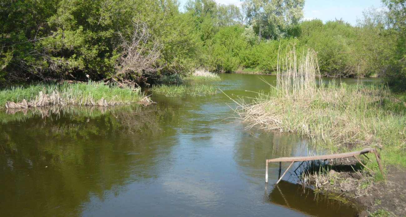 Хопер, Большой Узень и еще две реки: 5-летняя экологическая программа стартует в 2025 году