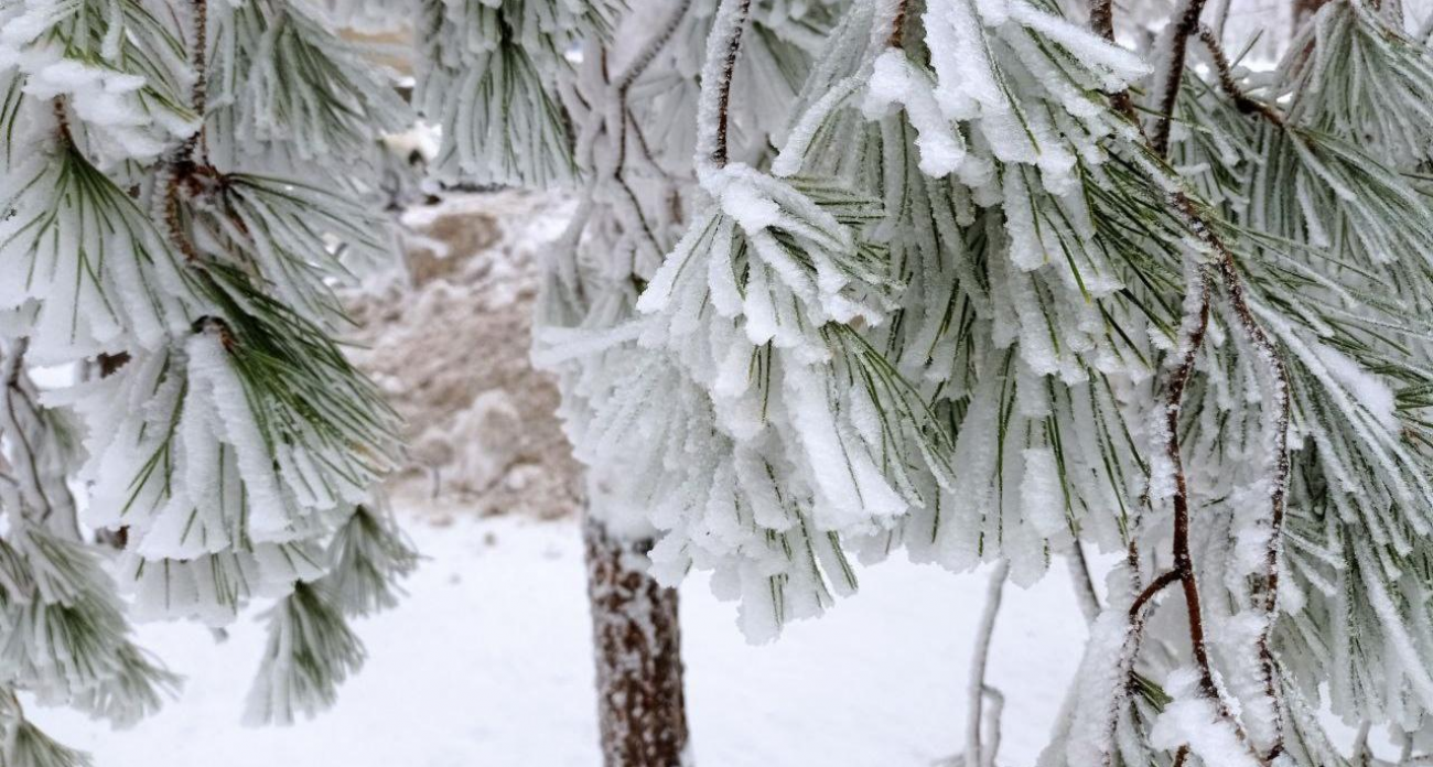 64 см снега за праздники: Бусаргин мобилизует 1500 единиц техники против стихии