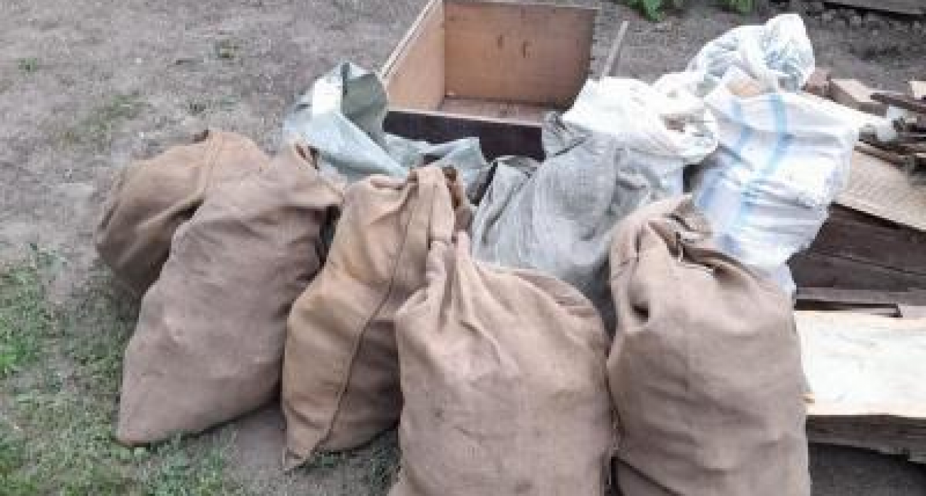 Крымская прокуратура требует 48 млн рублей с саратовских «экологов»