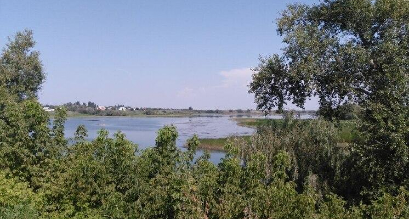 Саратовская область создала три новых заповедника и приблизилась к сотне охраняемых территорий