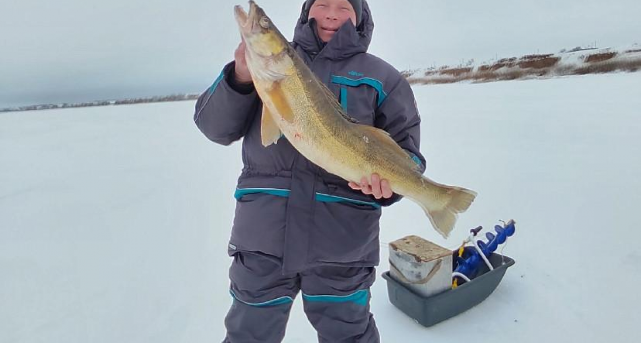 «Как на 3-й Дачной в час пик»: саратовские рыбаки вытащили 20 судаков со льда толщиной полметра