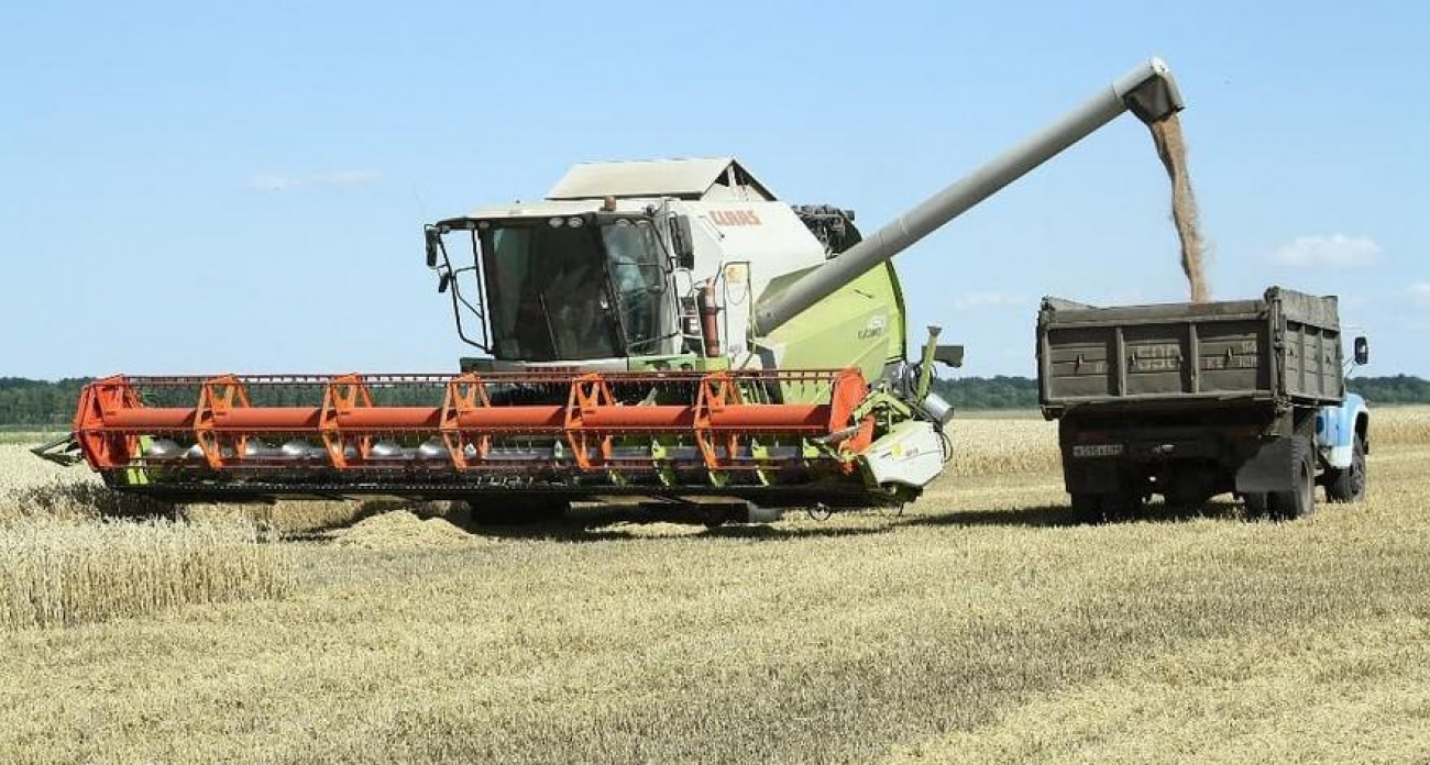 Губернатор Саратовской области запретил вывозить сырьё за 3,3 миллиарда