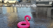 В центре Саратова вице-чемпион олимпиады отправил в плавание розового фламинго