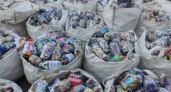 Саратовские школьники собрали рекордные 10,6 тонны пластиковых крышек для экопроекта