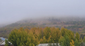 В Саратовской области ожидаются дожди и туман