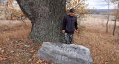 900-летний дуб из Саратовской области включили в национальный реестр