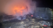 В сторожке под Саратовом сгорел человек