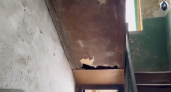 В Пугачеве завели дело о халатности из-за нерасселения аварийного дома