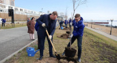 Губернатор Саратовской области посадил черемуху на новой набережной