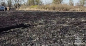 Пожарные спасли девять турбаз от горящей травы в Саратовской области