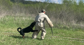 Кинологи ИК-2 победили в соревнованиях УФСИН Саратовской области