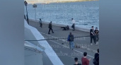 Полиция проверяет драку на набережной Саратова после наезда самоката на ребенка