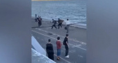 В Саратове возбудили дело о хулиганстве после драки на набережной
