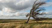 МЧС предупреждает: шквалистый ветер до 28 м/с накрыл Саратовскую область, возможен град