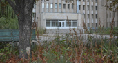 Бывший роддом №3 на улице Рабочей превратился в руины: трава пробивает асфальт, двери ржавеют
