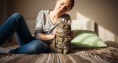 Когда кот приносит мышь домой — вы шокированы истинными мотивами, которые скрывают кошки