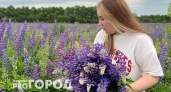 Тельцы найдут романтику с партнером, а Львы откроют миру свои гениальные идеи