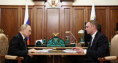 Путин и губернатор Саратовской области обсудили 37 мер поддержки участников СВО и программу "Наши герои"