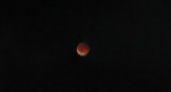 Саратовцы наблюдали 5-часовое лунное затмение — следующее только в 2026 году (фото)