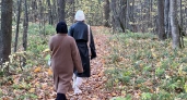 Скорпионы помнят каждую обиду десятилетиями: что стоит за этой роковой особенностью характера