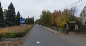 В Саратове потратят 1,1 млн рублей на подсчет каждого дерева за месяц
