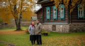 Посадите эти 3 дерева на участке — и выгребная яма перестанет переполняться: одно из них выпивает 500 литров в день