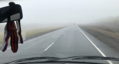 Видимость на нуле: ГИБДД Саратовской области призывает водителей останавливаться на обочине из-за тумана