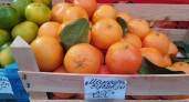 Сербские мандарины по 350 рублей против китайских за 200: в Саратове началась цитрусовая война