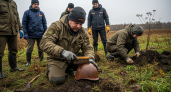Саратовские поисковики нашли 114 советских воинов: рекорд за три года