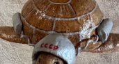 Черепаха-космонавт из ватина покорит Саратов на новогоднем конкурсе