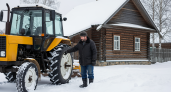Год в деревне раскрыл нам главный секрет: почему фермерство ушло в прошлое, хотя ответ всегда был перед нами