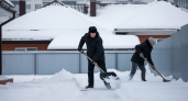 Секретная хитрость дворников: наношу это средство на лопату и снег скатывается как по маслу, а руки не устают
