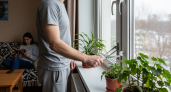 Мастер окон раскрыл секрет зимнего проветривания пластиковых рам без сквозняков и переноса цветов