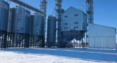 Зерновой прорыв: в Ершовском районе запустили комплекс за 250 млн рублей с мощностью 160 тонн зерна в час