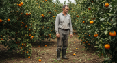 Абхазский фермер рассказал, что для него дороже денег от продажи мандаринов в Россию