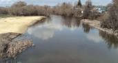 Медведица второй год подряд не разлилась: уровень воды остановился на 44 см