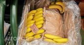 Хватит выбрасывать банановую кожуру: рассказываю как превратить кухонные отходы в ценный ресурс для дома