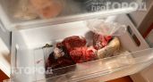 Вы рискуете здоровьем семьи: узнайте предельные сроки хранения мяса в морозилке для каждого вида продукта