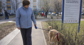 В Саратове запретили выгул собак в пяти городских парках