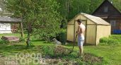 Забудьте про яды и капканы: три простых растения по периметру заставят мышей навсегда покинуть ваш участок