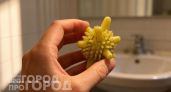 Больше никакой шерсти на вещах: просто закидываю два этих шарика в барабан вместо привычной стирки одежды