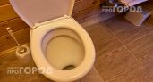 Перестаньте смывать воду с открытой крышкой: вы рискуете здоровьем всей семьи из-за микробов в воздухе