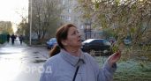 Майские планы придется менять: синоптики вычислили даты резкого возвращения черемуховых заморозков