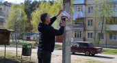 Семь саратовцев разожгли костры в лесу в праздники и получат штрафы до 50 тысяч